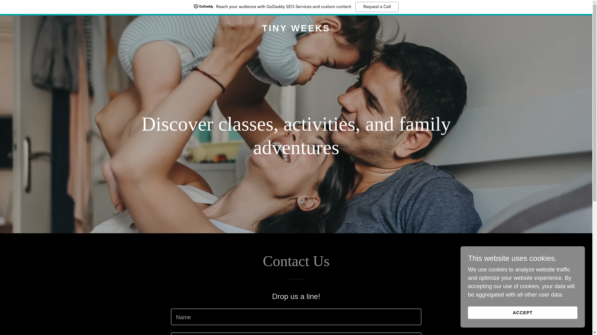 website screenshot of https://tinyweeks.com/