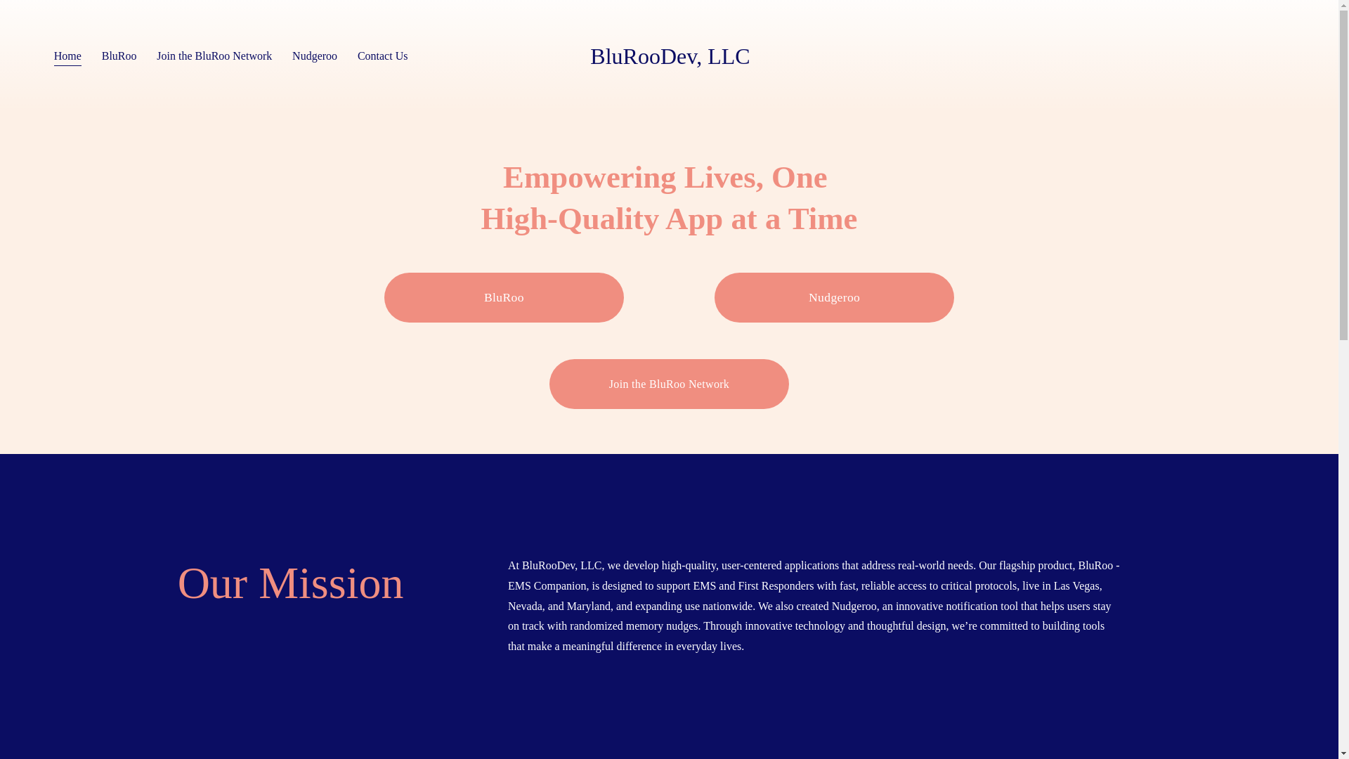website screenshot of https://blurooems.com/