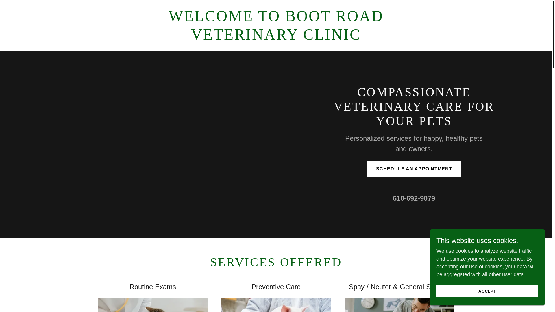website screenshot of https://bootroadvetclinic.com/