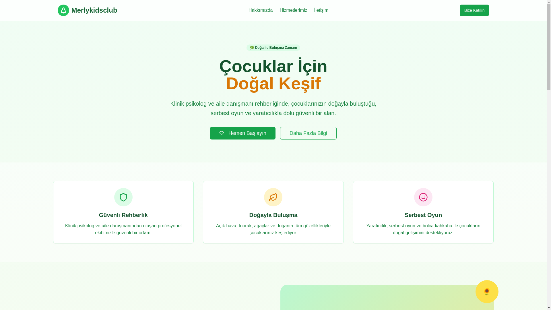 website screenshot of https://merlykidsclub.com.tr/