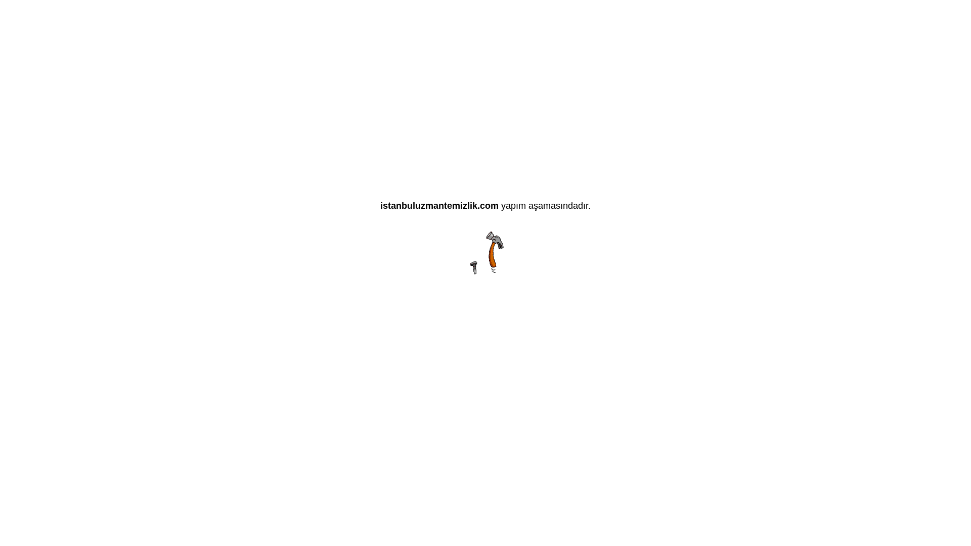 website screenshot of https://istanbuluzmantemizlik.com/