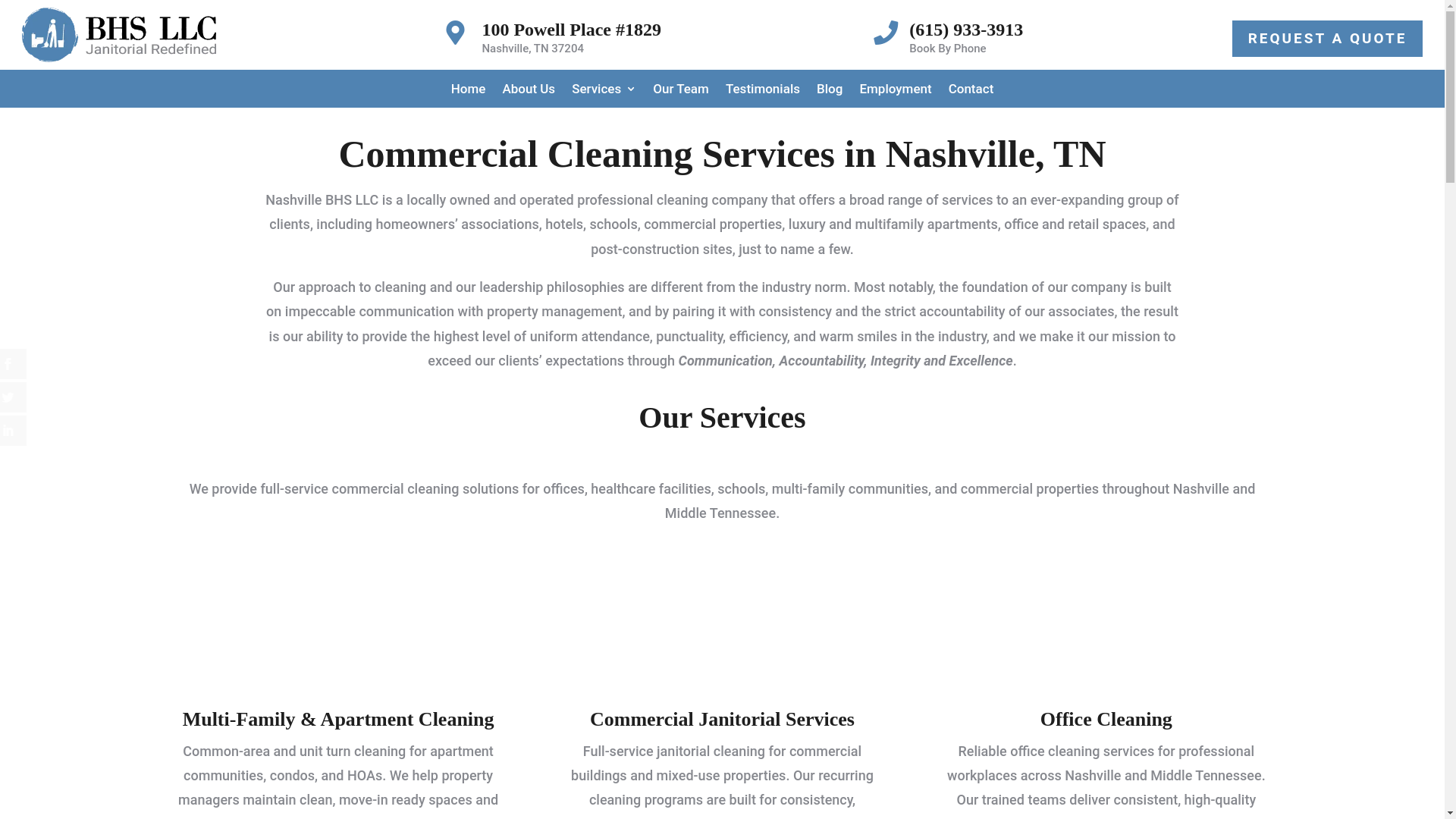 website screenshot of https://nashvillebhssvcs.com/