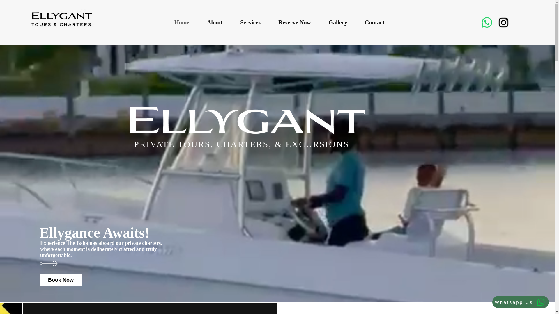 website screenshot of https://ellyganttoursandcharters.com/