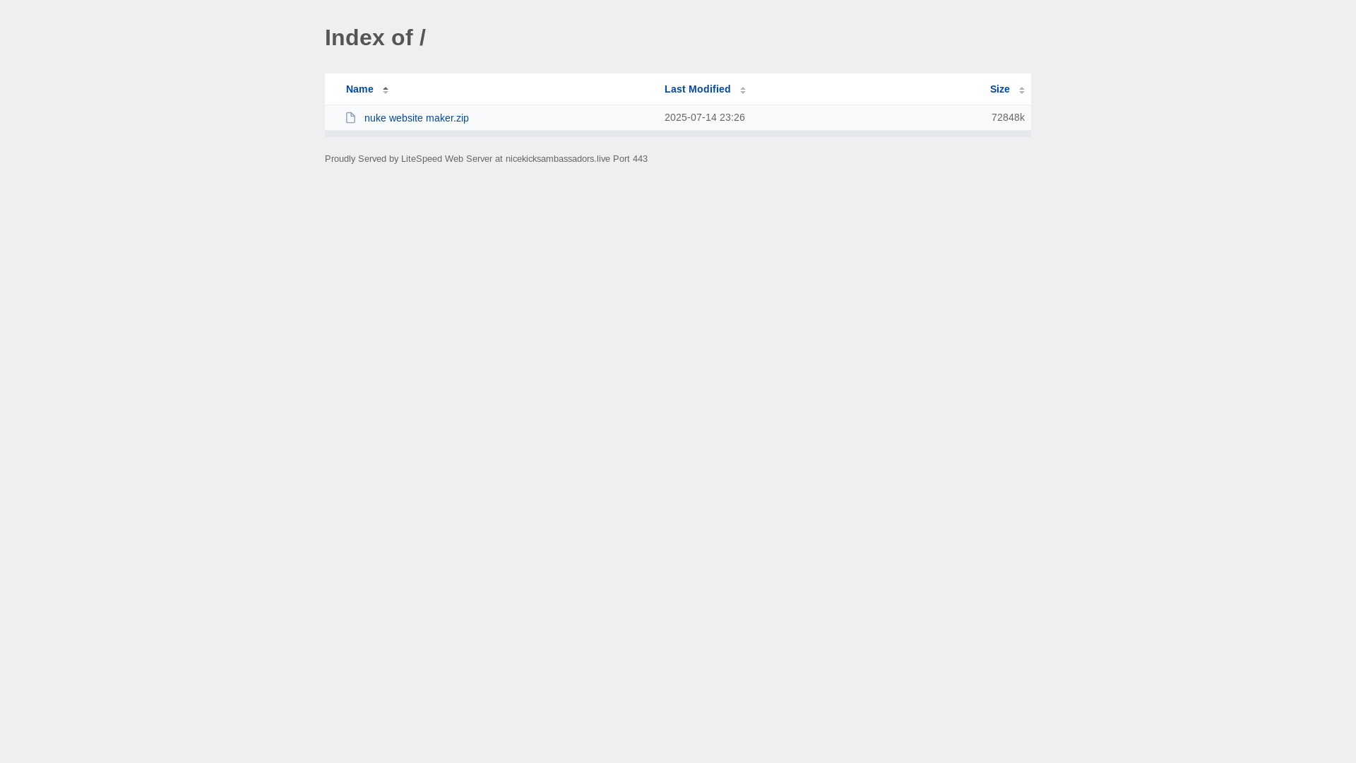 website screenshot of https://nicekicksambassadors.live/