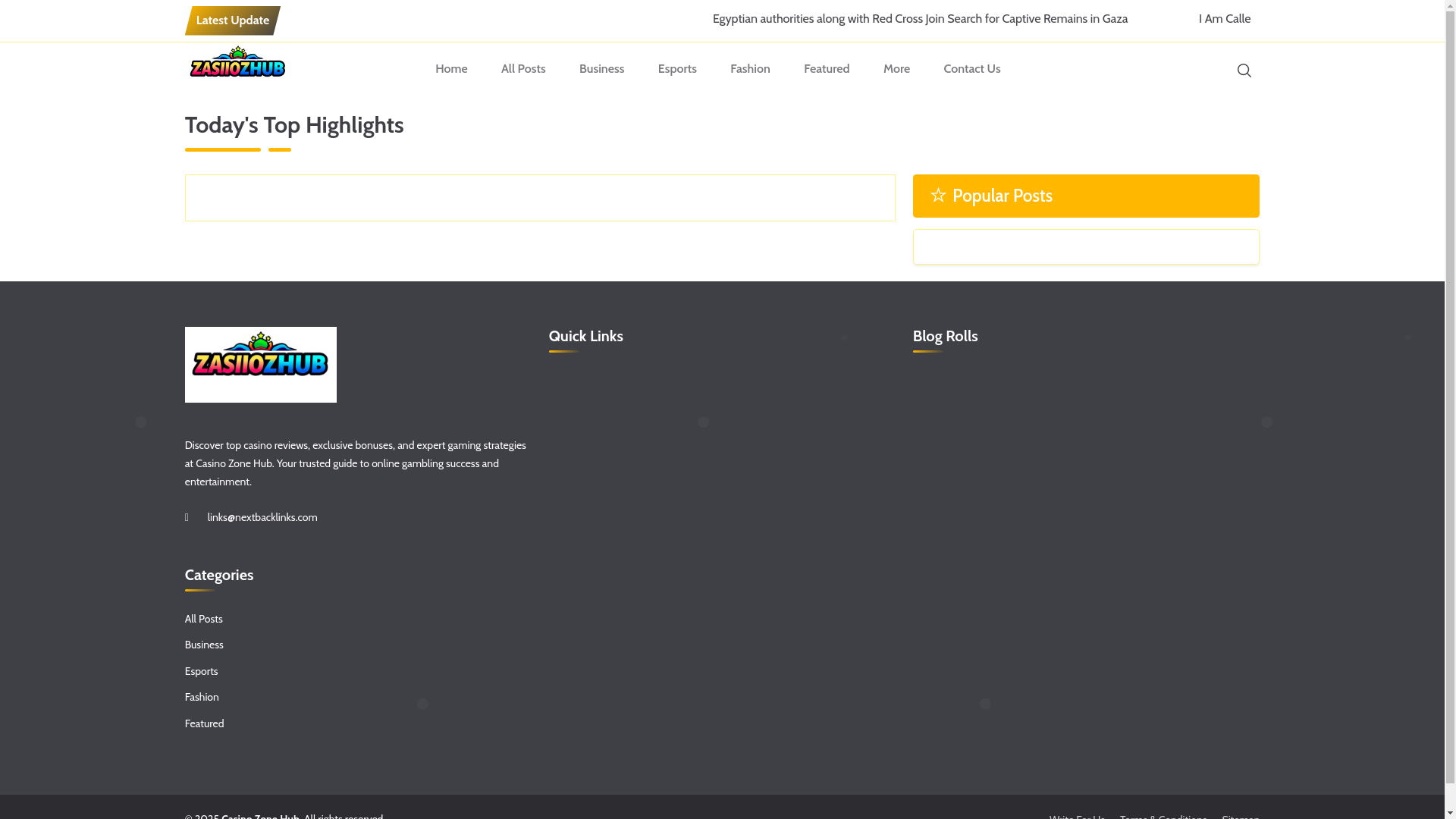 website screenshot of https://casinozonehub.us/