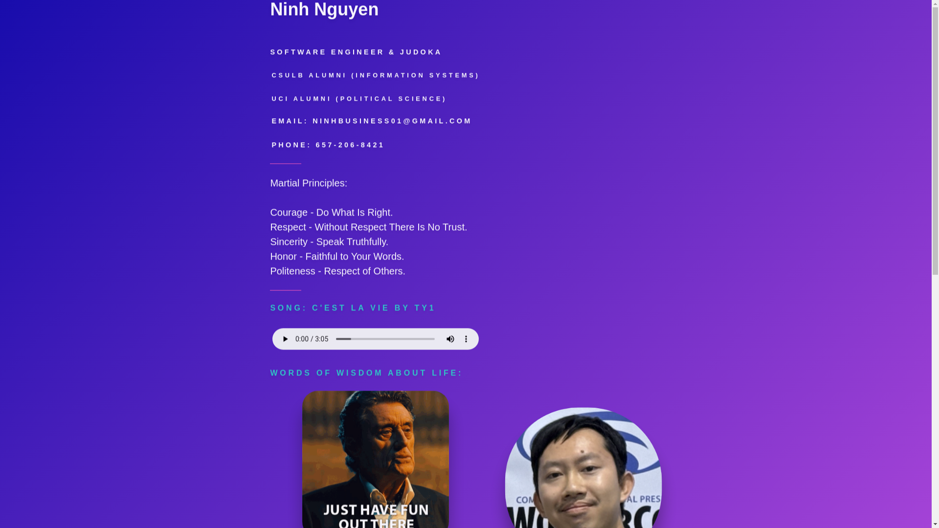website screenshot of https://ninhnguyen01profile.pages.dev/