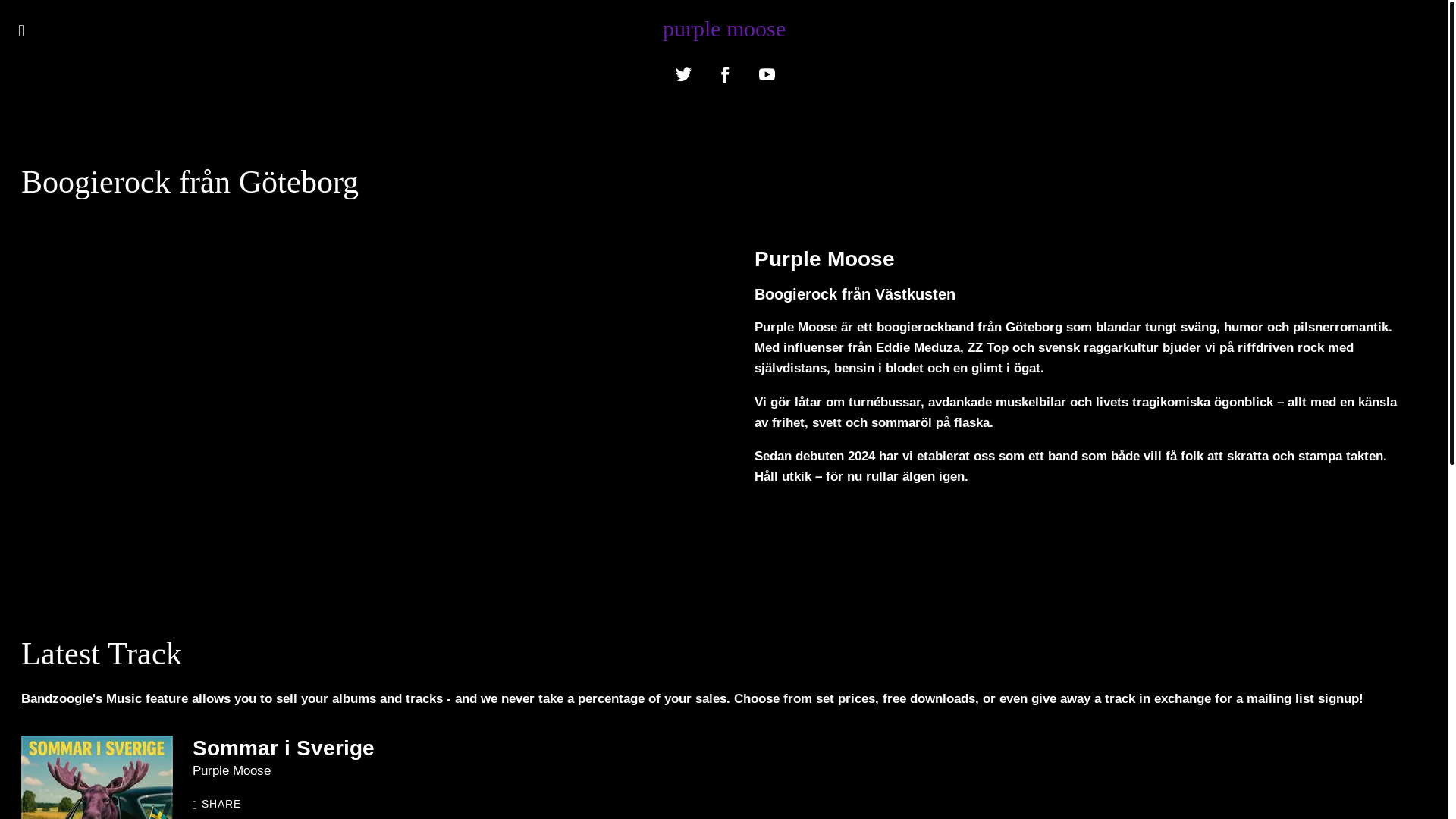 website screenshot of https://purplemooseband.com/