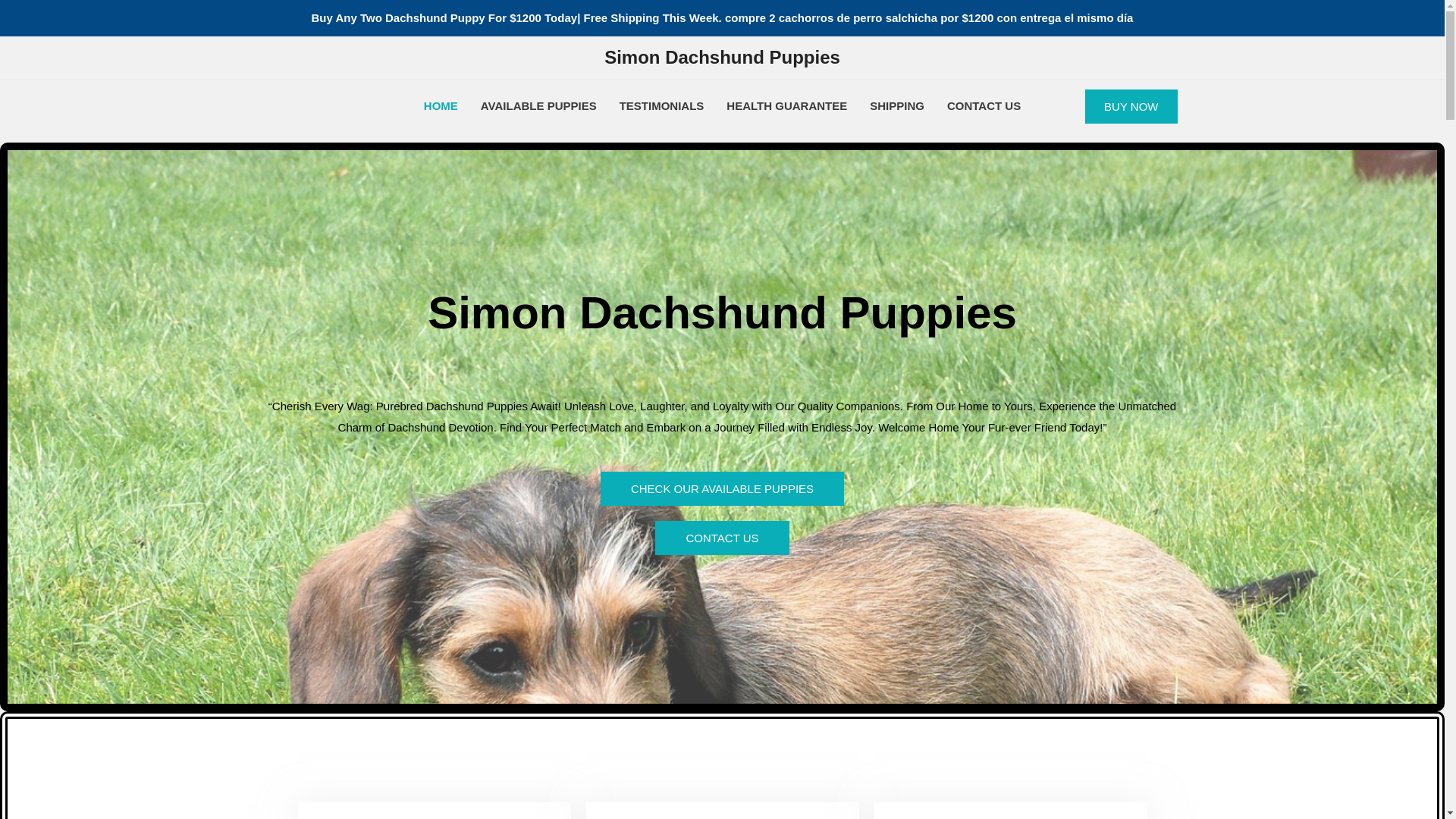 website screenshot of https://tylerdachsundpuppies.com/