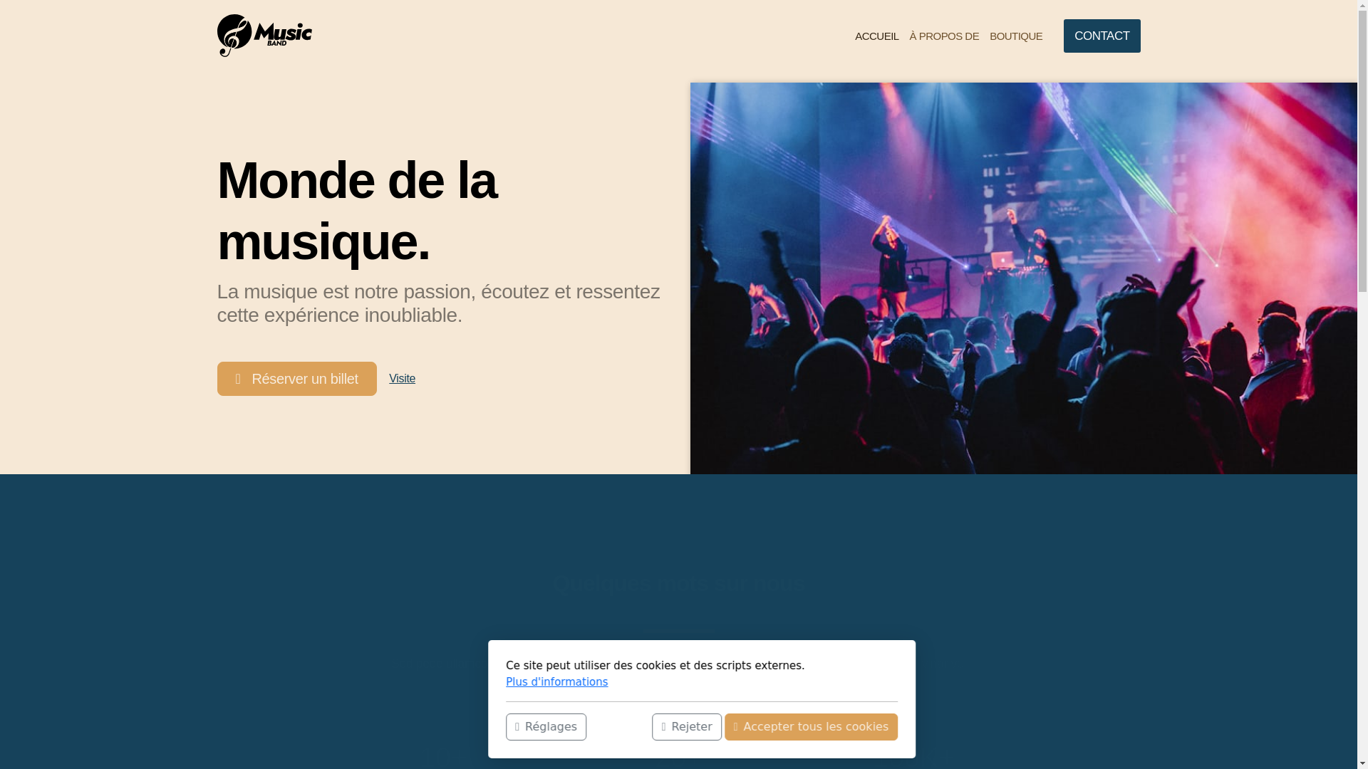website screenshot of https://helvetique-project.ch/