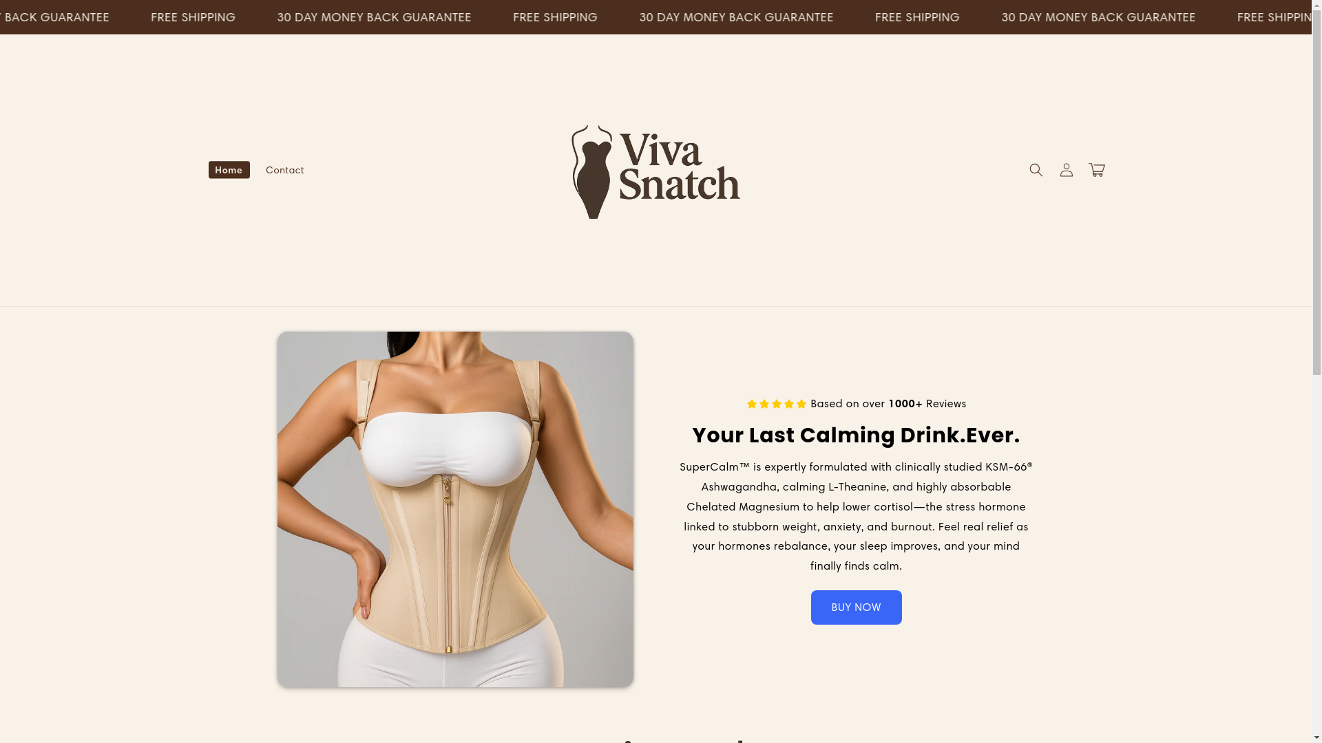 website screenshot of https://vivasnatch.com/