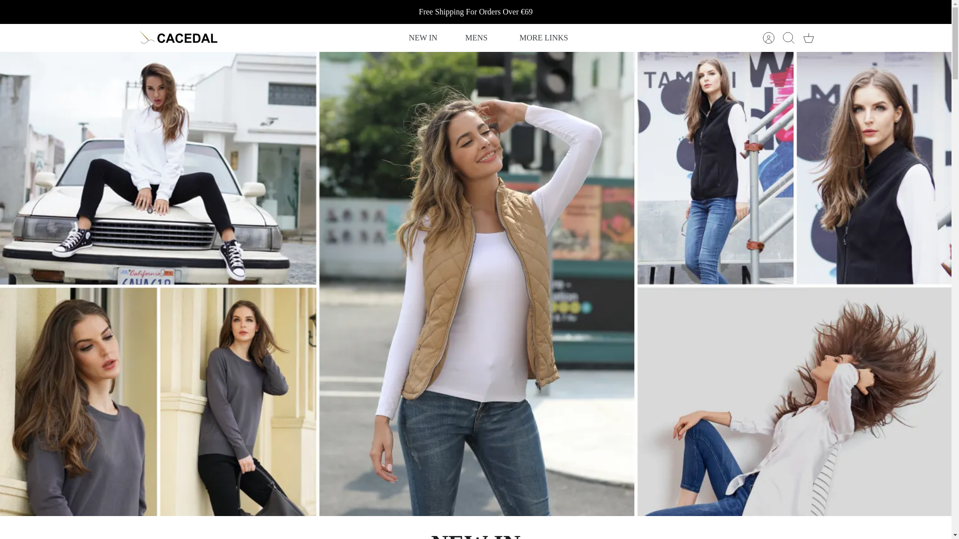 website screenshot of http://www.goosetrail.shop/