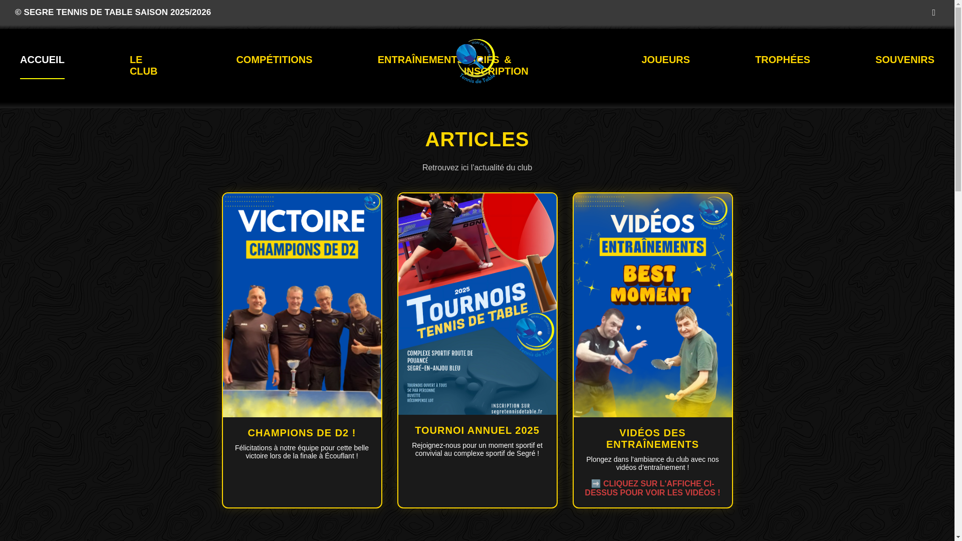 website screenshot of https://segretennisdetable.fr/