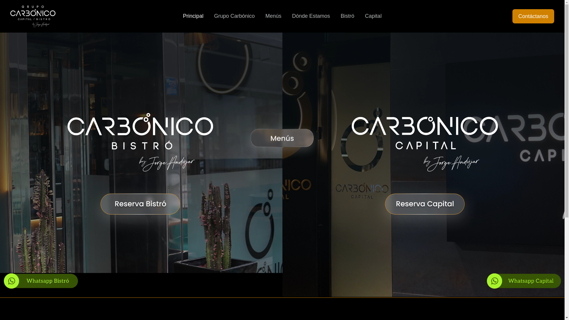 website screenshot of https://grupocarbonico.com/