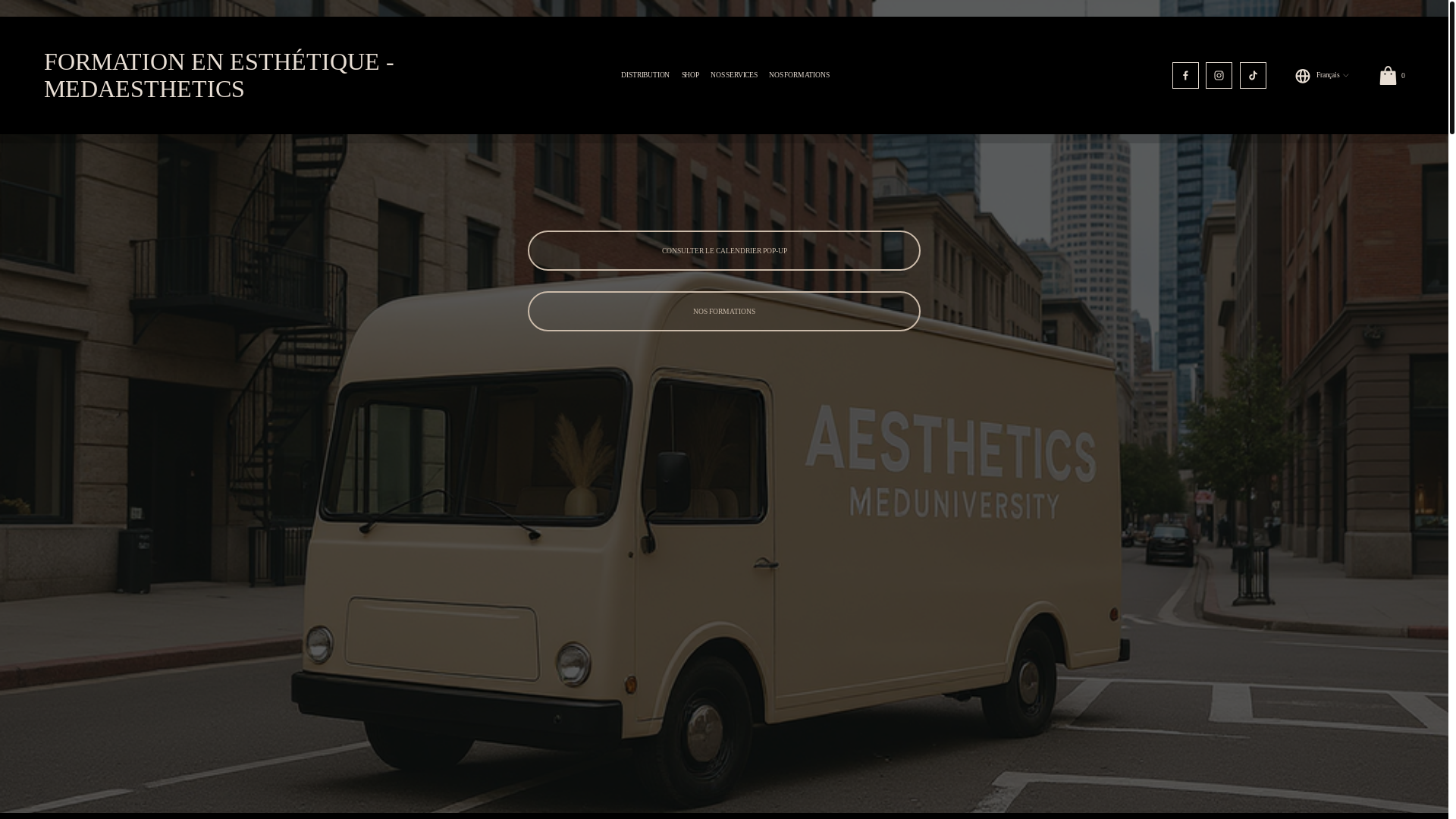 website screenshot of https://aestheticsmeduniversity.com/