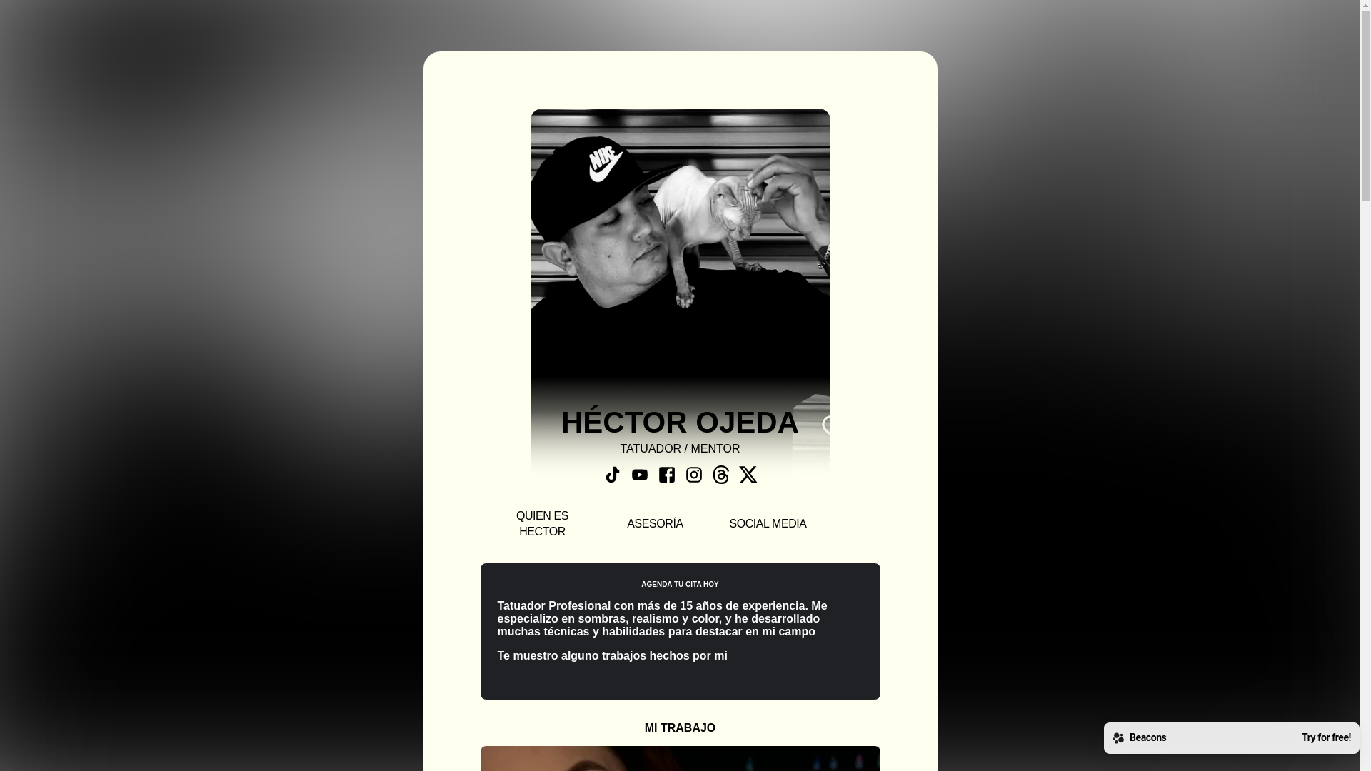 website screenshot of https://hectorojeda.store/