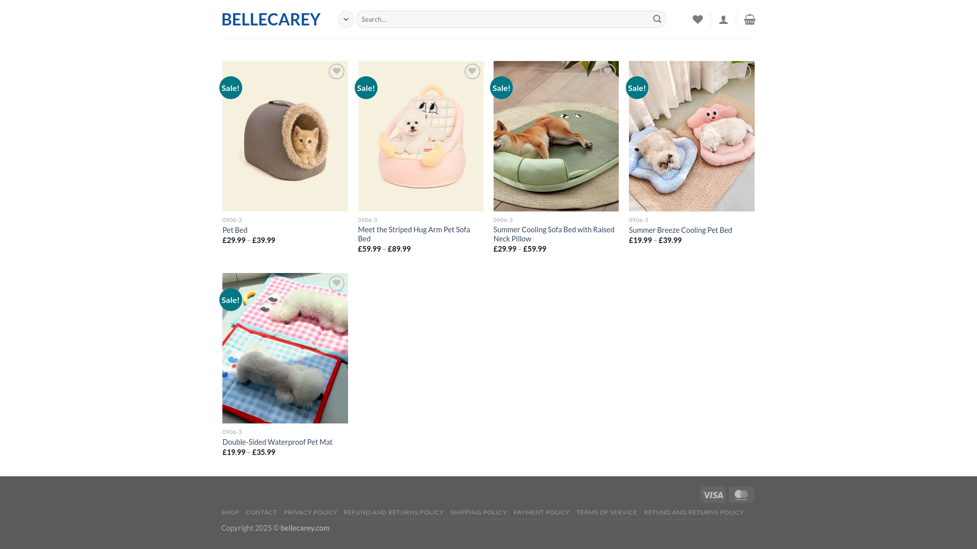 website screenshot of https://bellecarey.com/