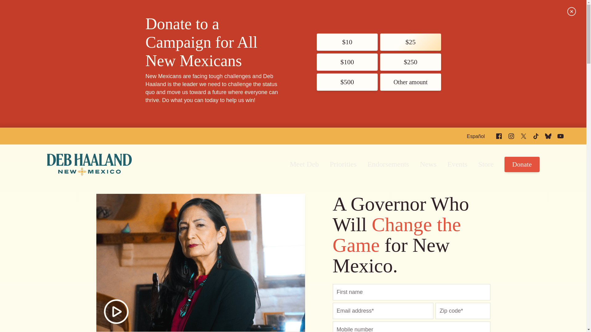 website screenshot of https://debhaaland.co/