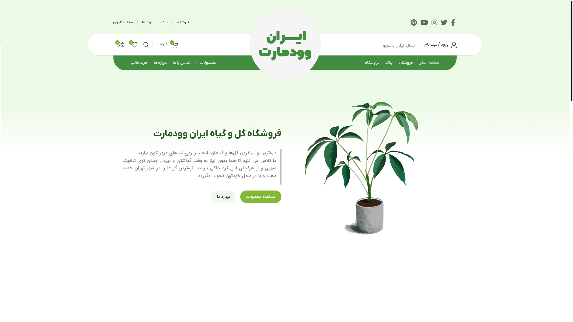 website screenshot of https://lealady.ir/