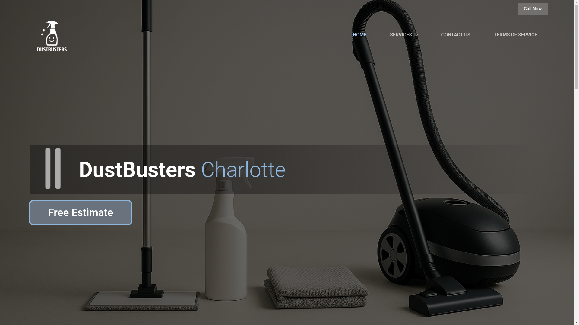 website screenshot of https://testdustbusters.pages.dev/