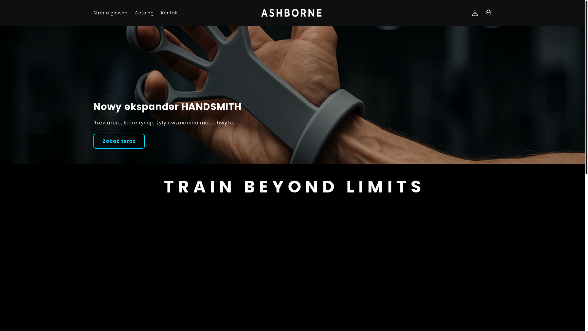 website screenshot of https://ashborne.store/