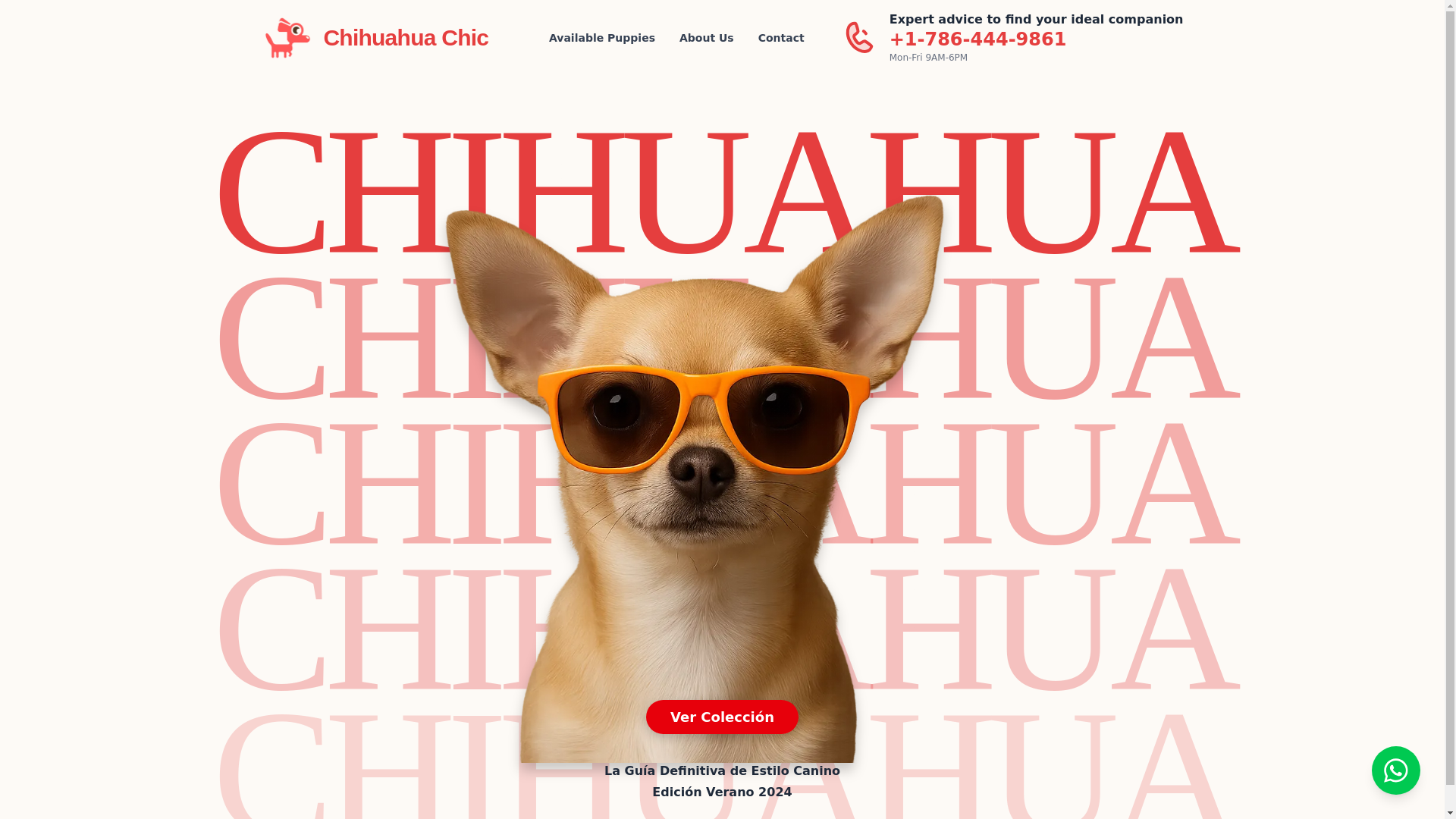 website screenshot of https://chihuahua-chic.pages.dev/