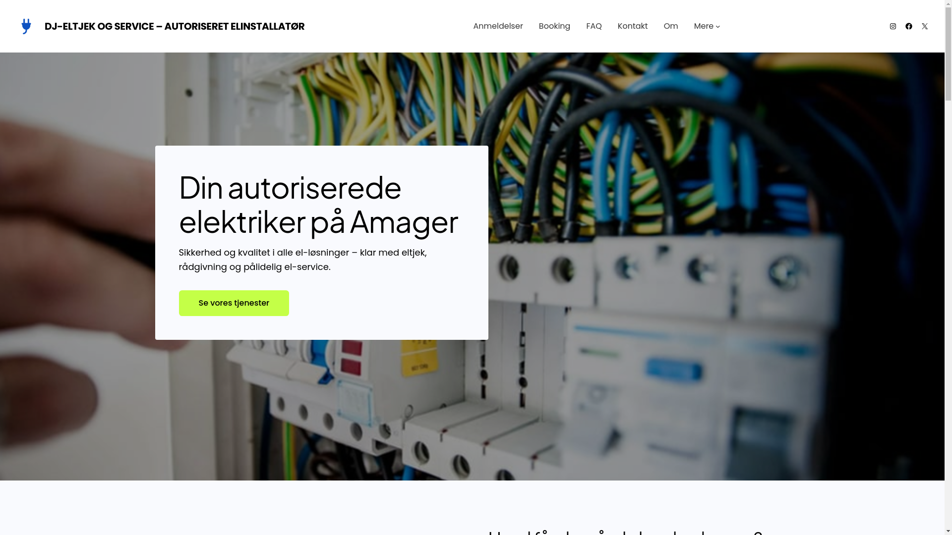 website screenshot of https://dj-elsevise.dk/