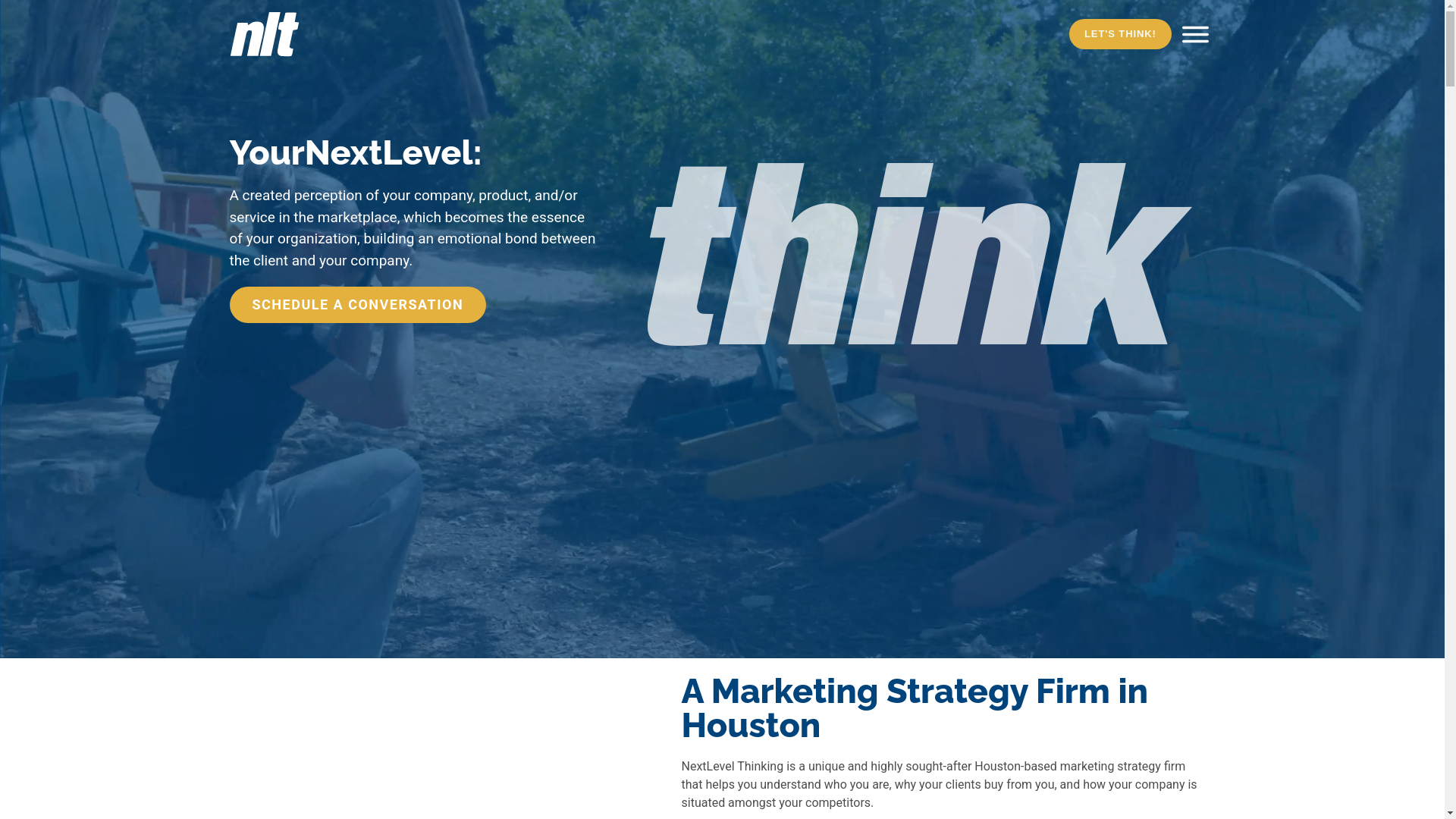 website screenshot of https://trynextlevelthinking.com/