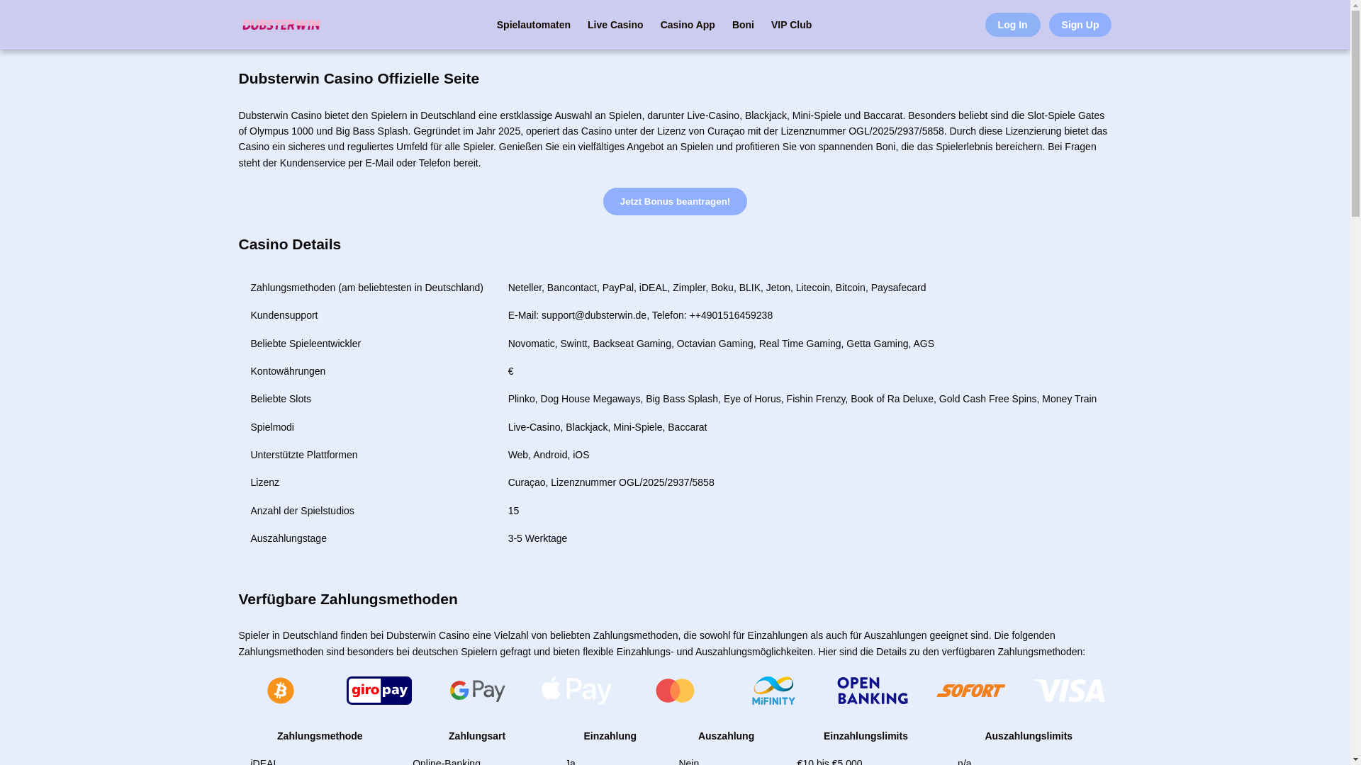 website screenshot of https://dubsterwin-de.pages.dev/