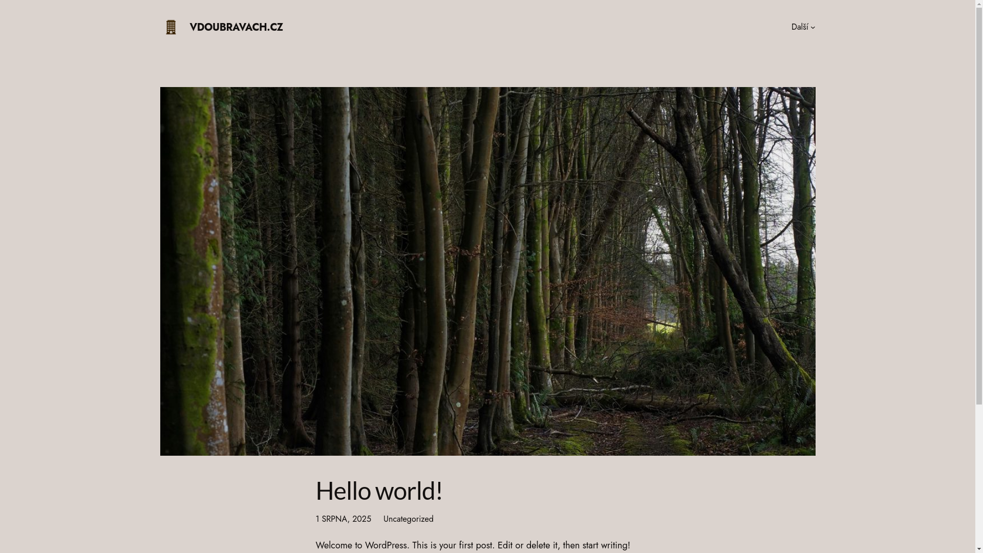website screenshot of https://ubytovani-vdoubravach.cz/
