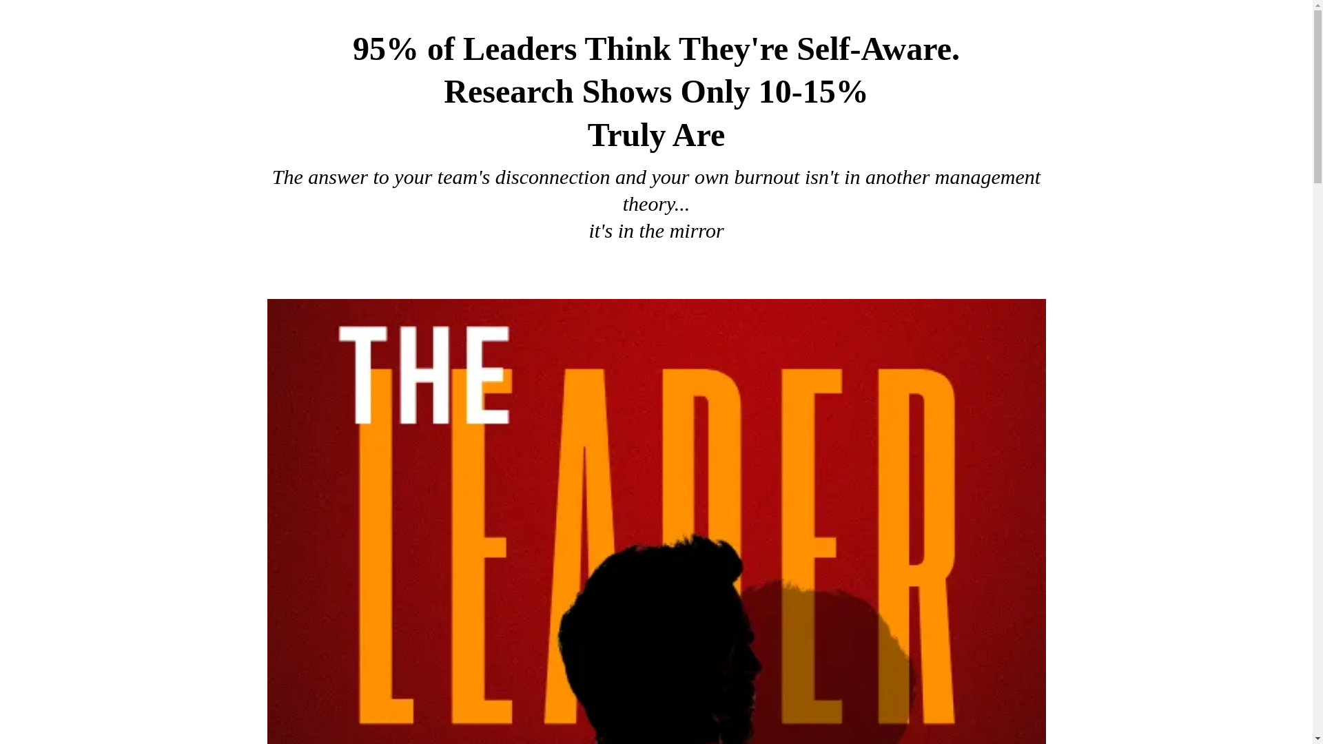 website screenshot of https://leaderinmirror.com/