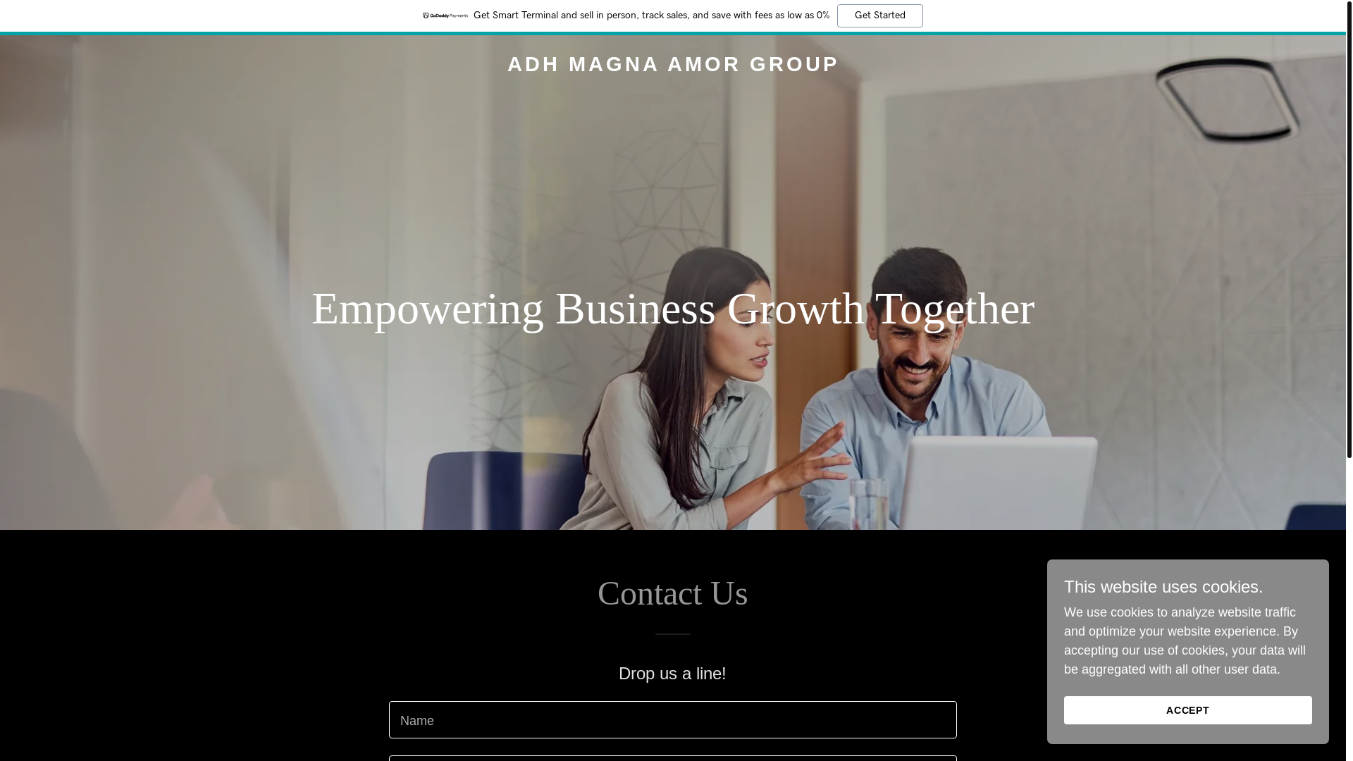 website screenshot of https://adhmagnaamorgroup.com/