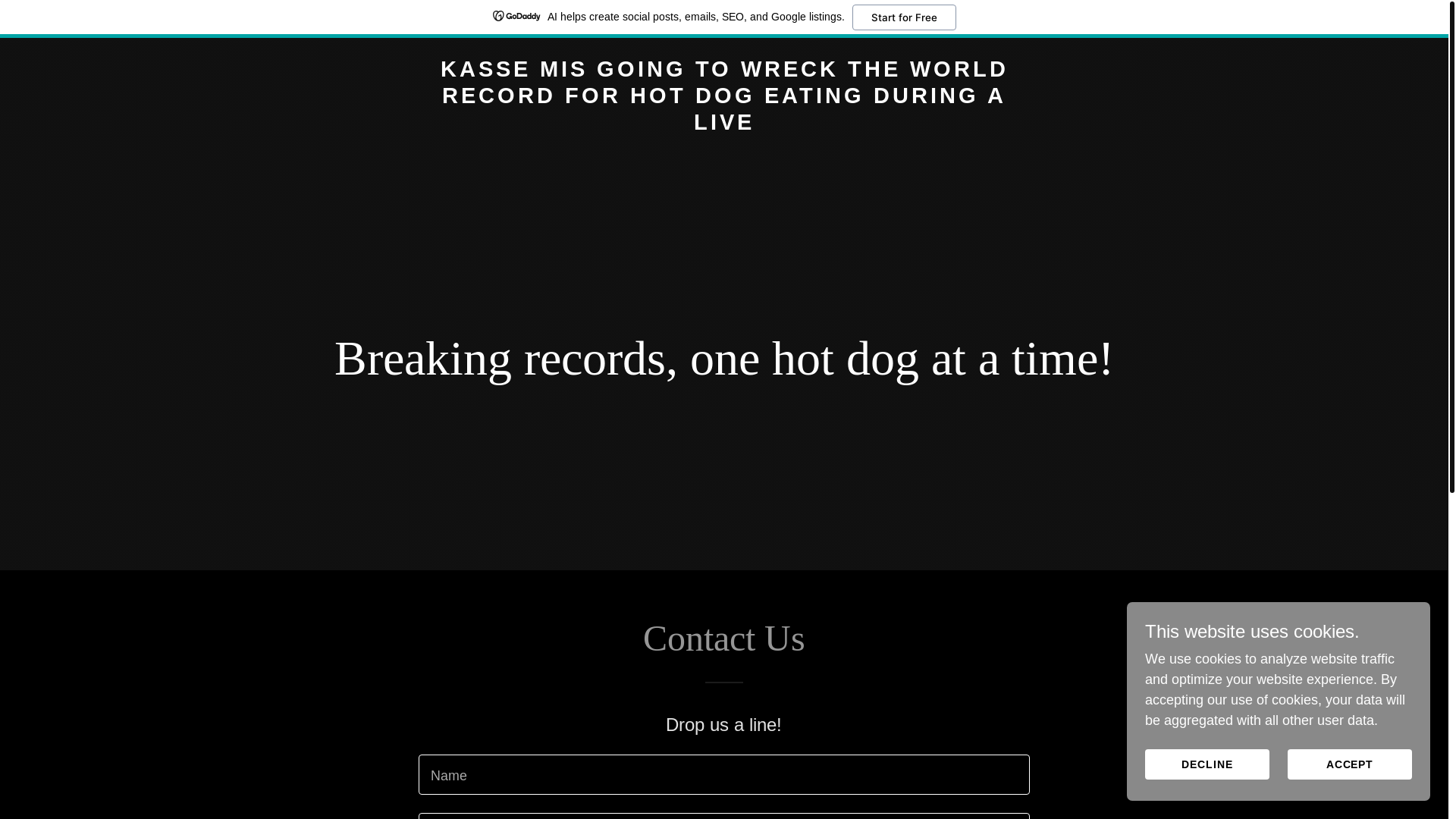website screenshot of https://kassemisgoingtowrecktheworldrecordforhotdogseatingduringaliv.gay/