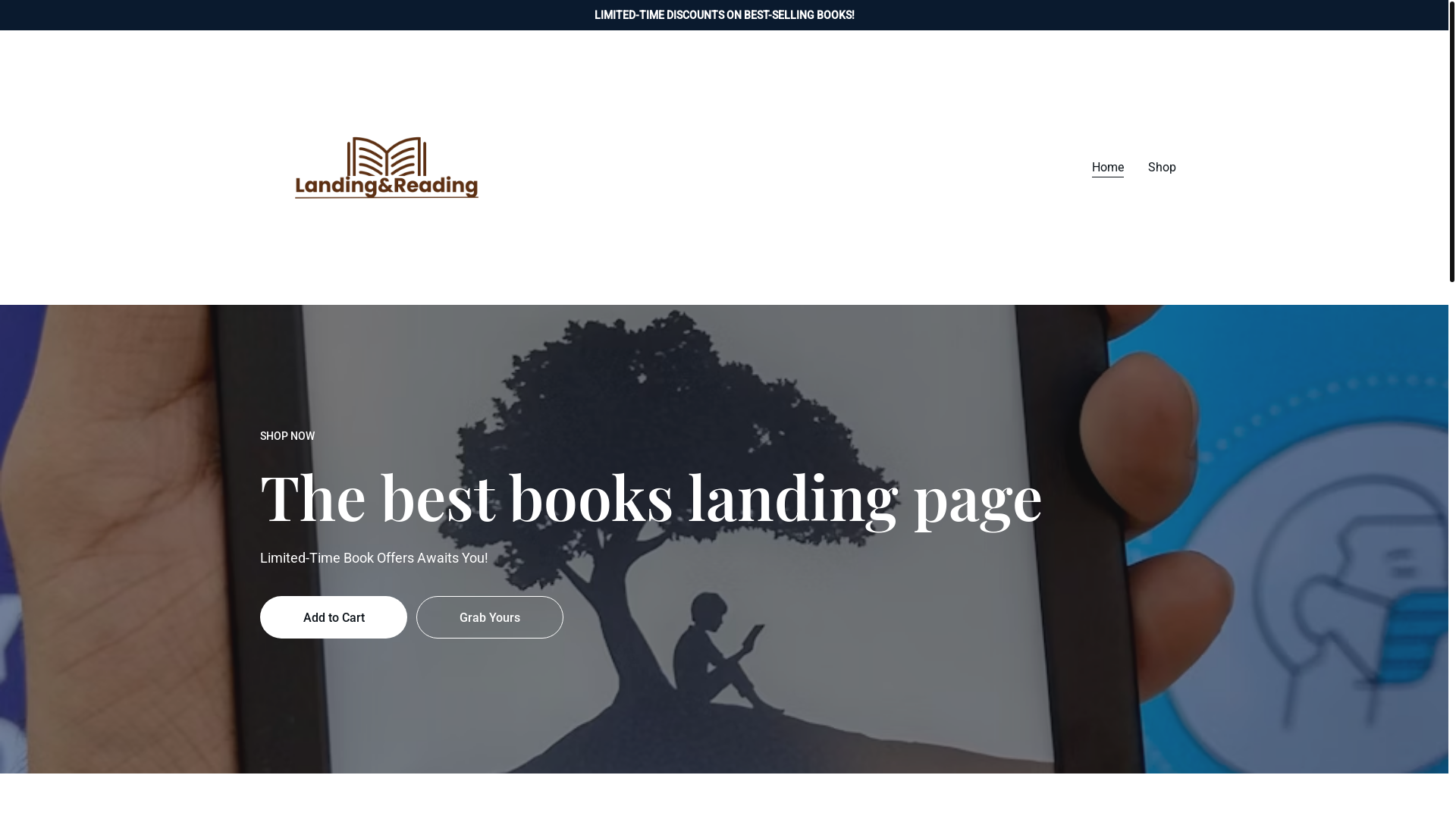 website screenshot of https://landingreading.shop/