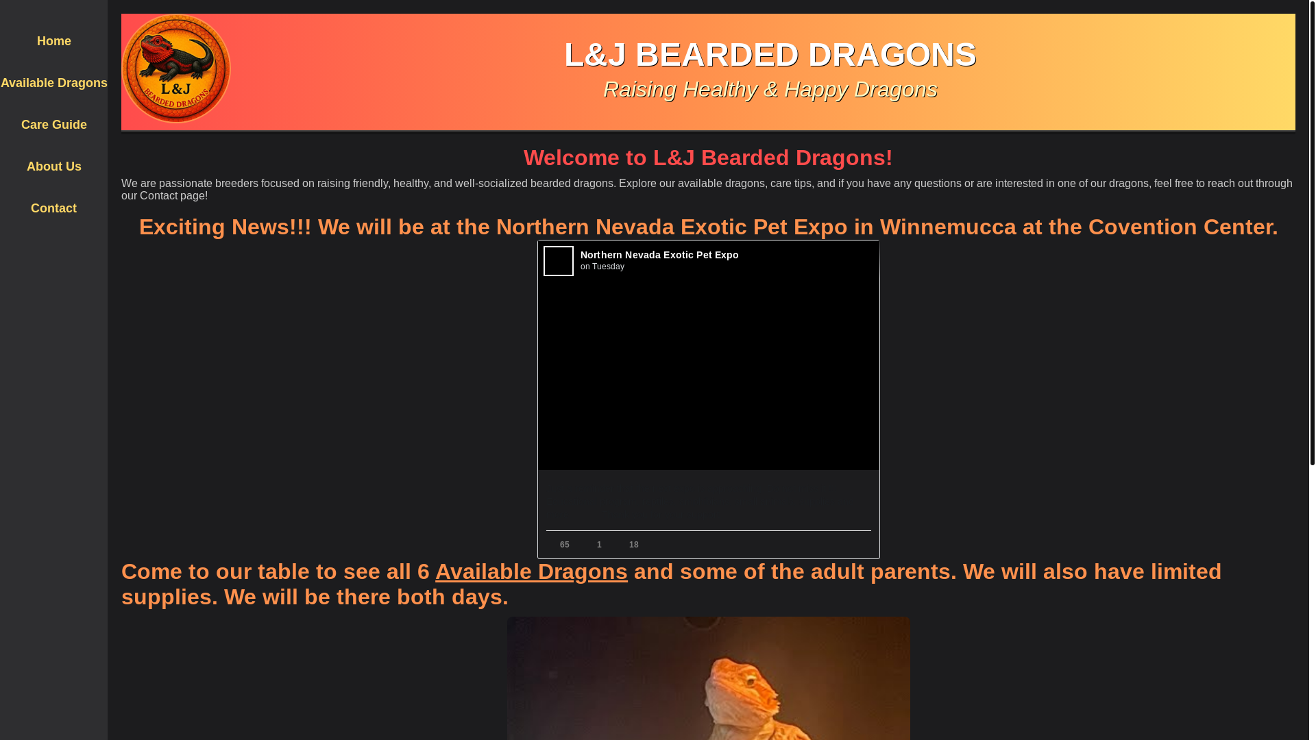 website screenshot of https://ljbeardeddragons.pages.dev/