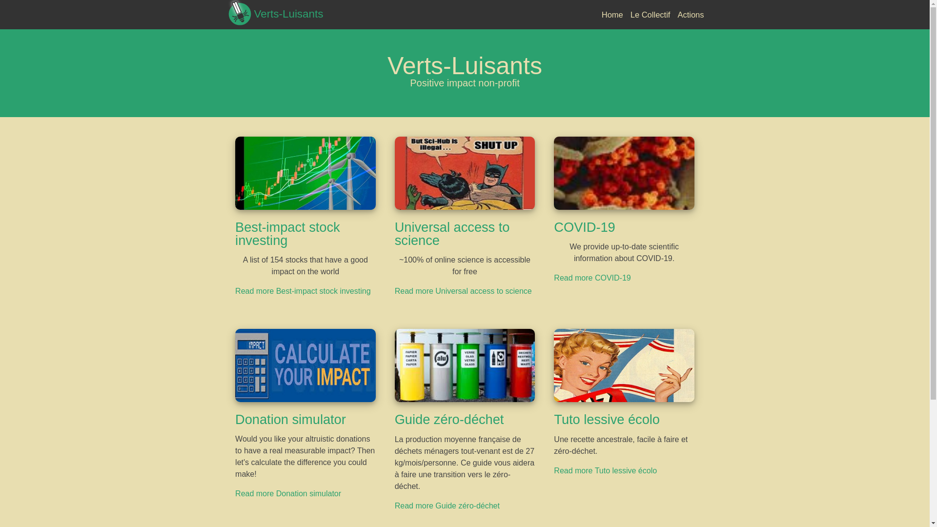 website screenshot of https://vertsluisants.fr/