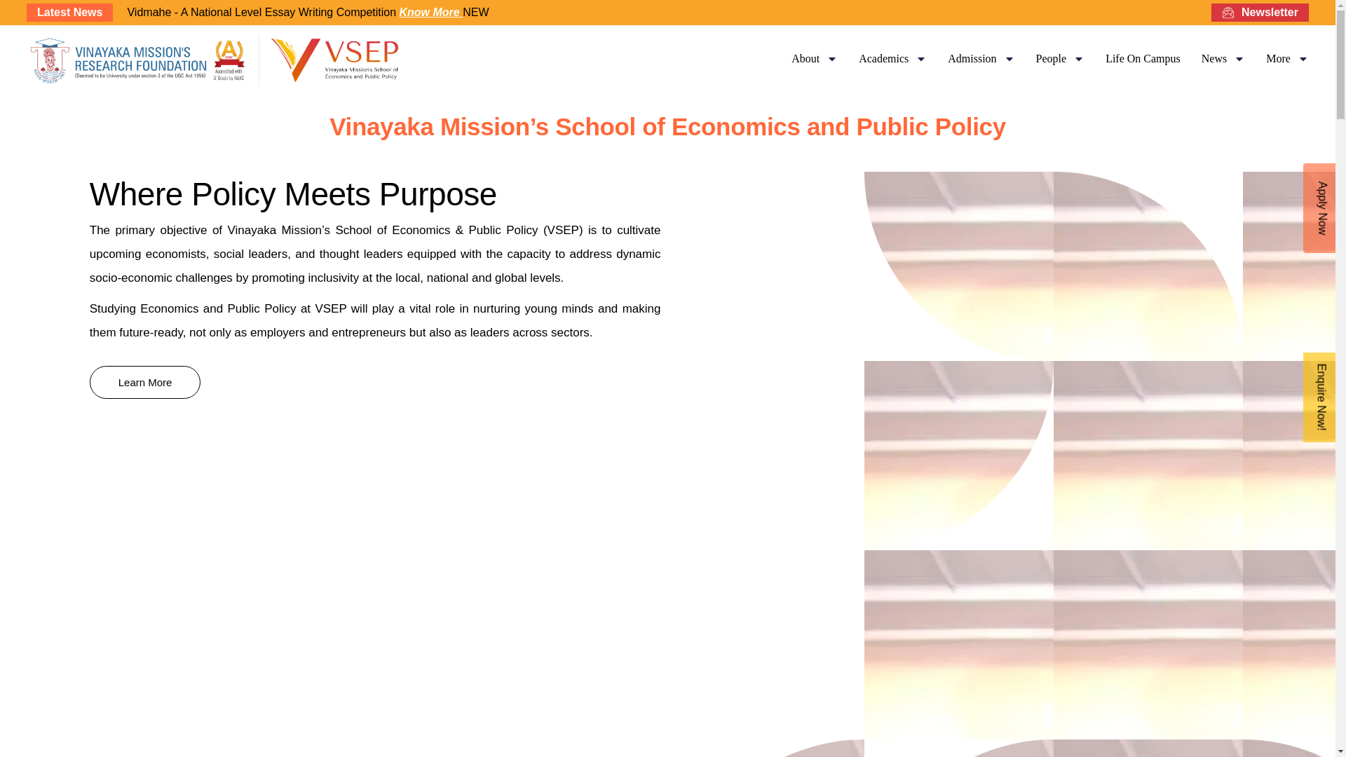 website screenshot of https://vsephub.com/