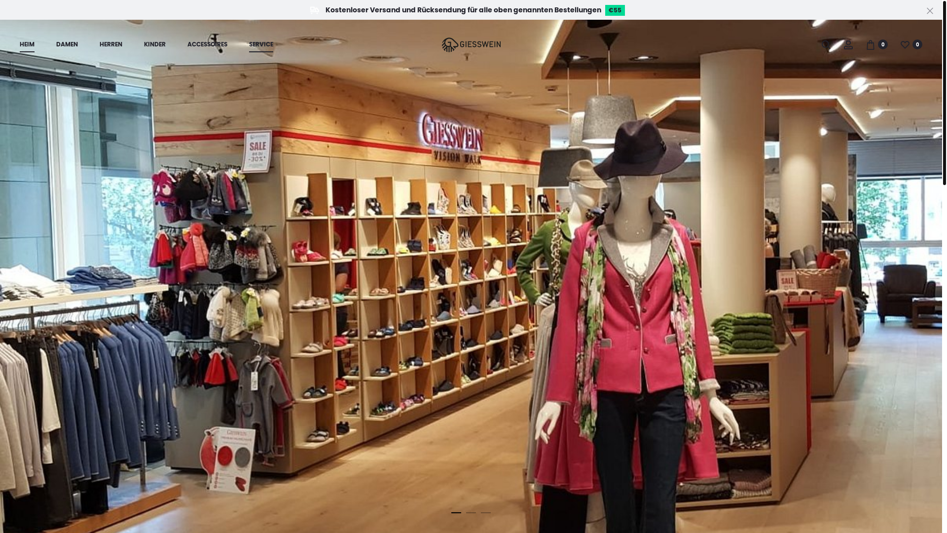 website screenshot of https://www.giesswein.com.de/