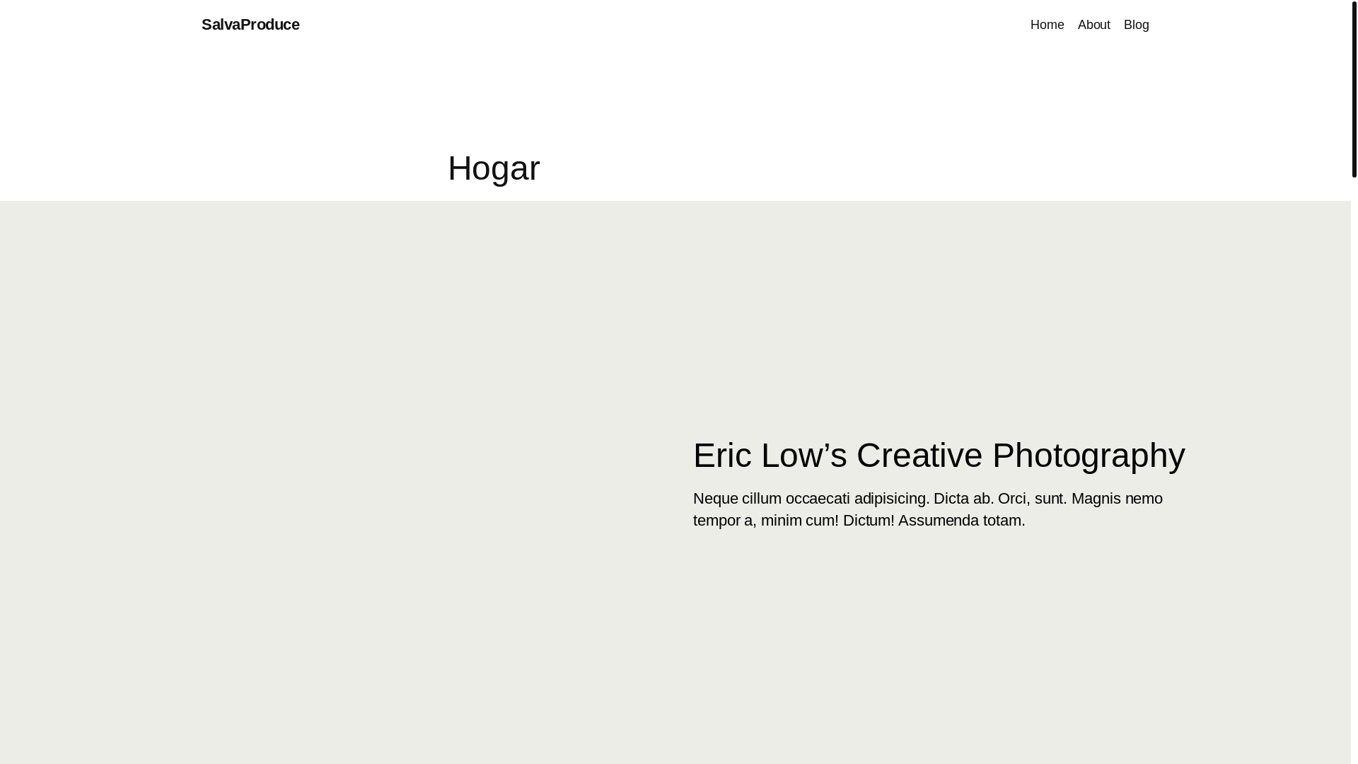 website screenshot of https://salvaproduce.cl/