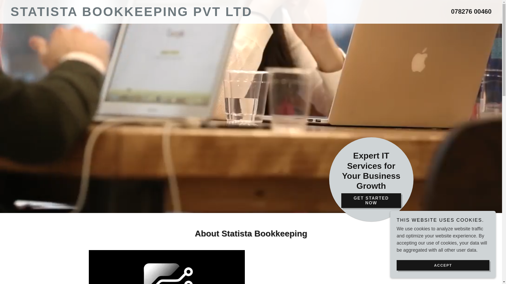 website screenshot of https://statistabookkeeping.in/