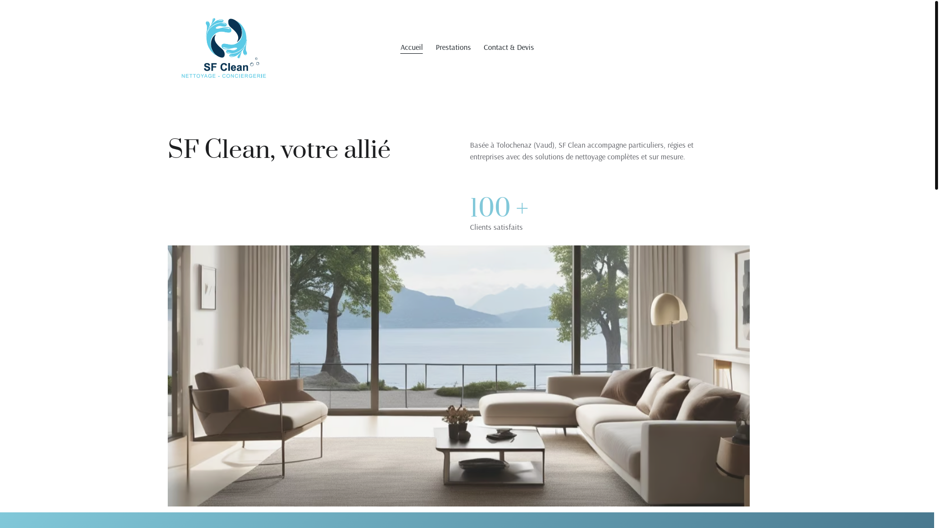 website screenshot of https://sfclean.ch/