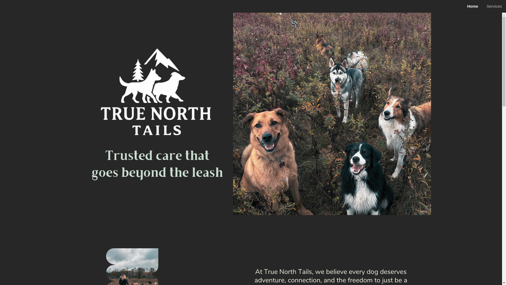 website screenshot of https://truenorthtails.com/