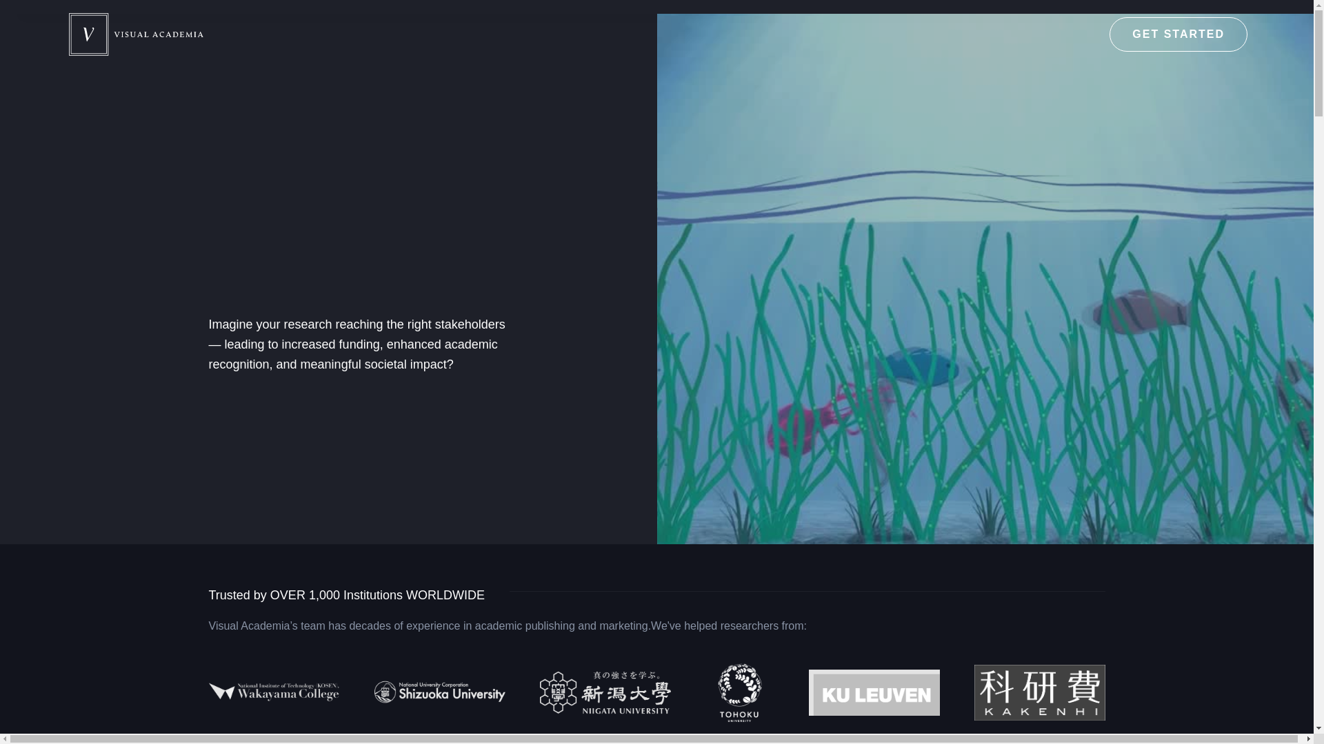 website screenshot of https://visualacademichq.com/
