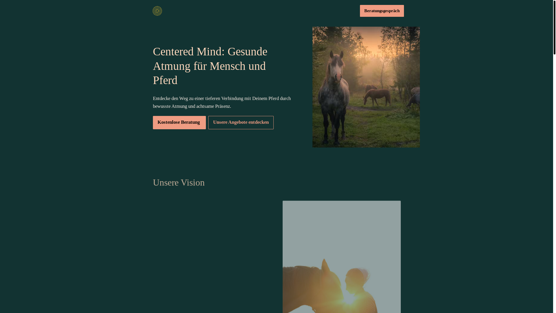 website screenshot of https://centeredmind.store/