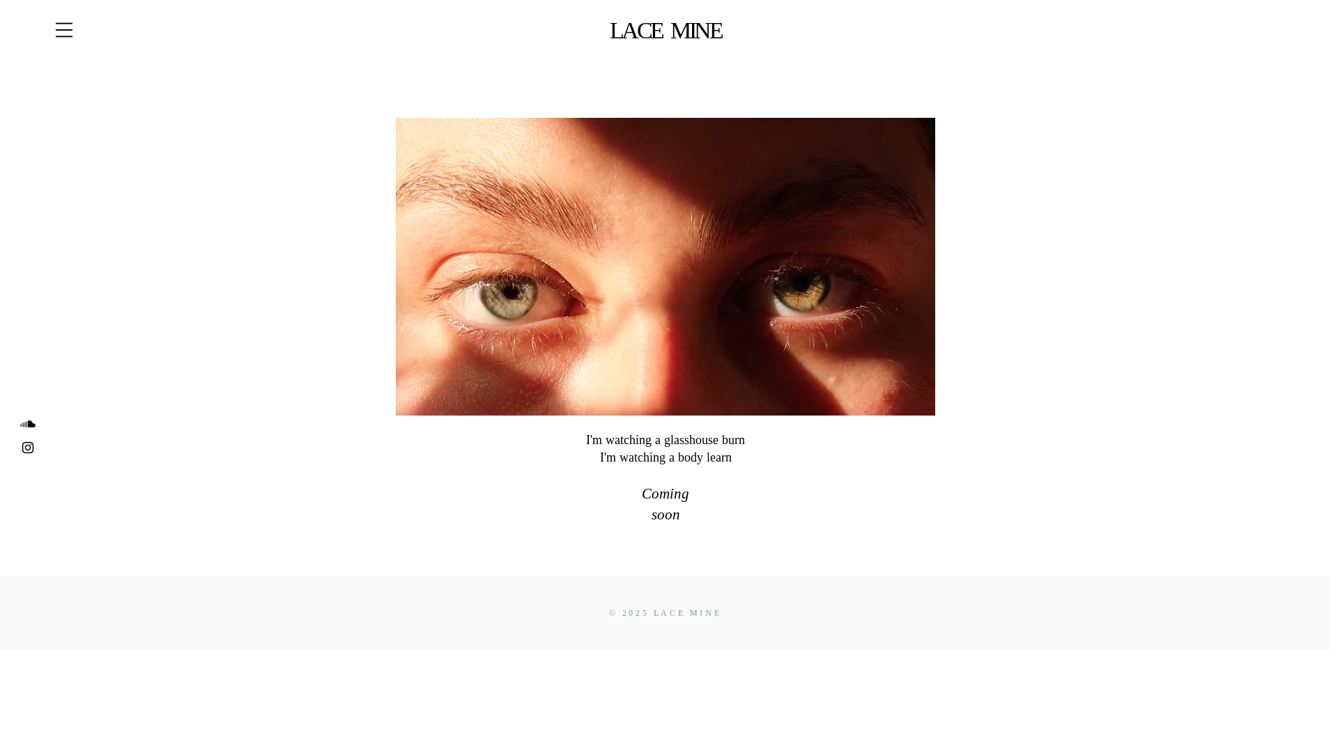 website screenshot of https://lacemine.com/