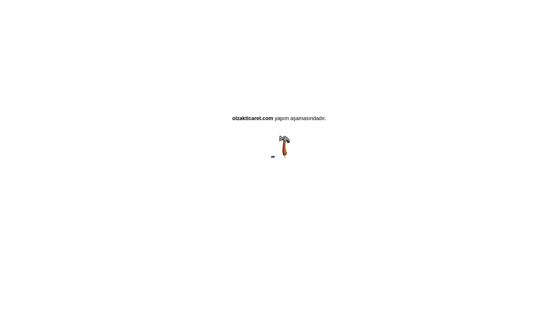 website screenshot of https://olzakticaret.com/