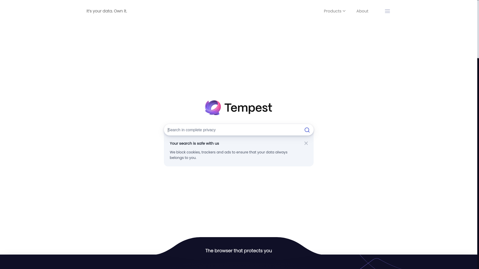 website screenshot of https://tempest.com/
