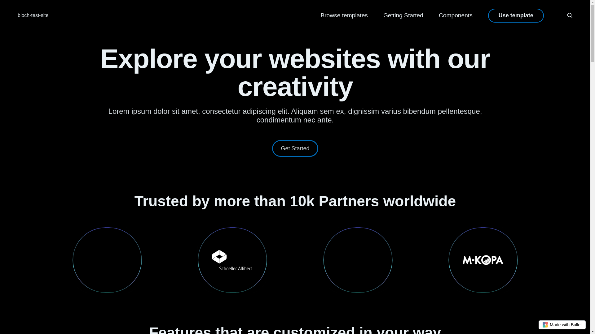 website screenshot of https://bloch-test-site-bullet.pages.dev/