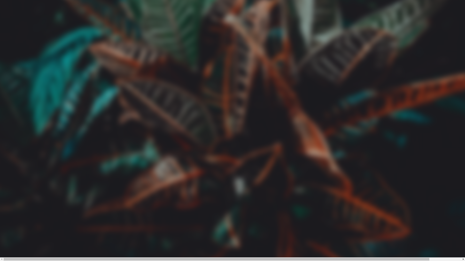 website screenshot of https://dschungeldelights.com/