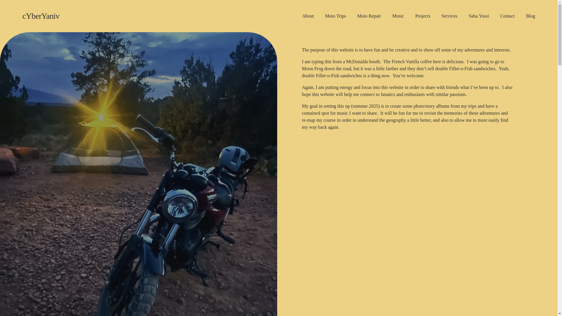 website screenshot of https://cyberyaniv.com/