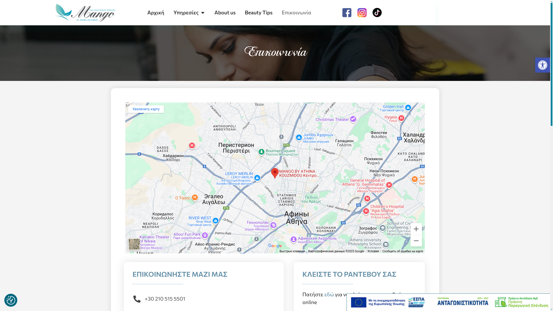 website screenshot of https://surabirdiemig.fun/